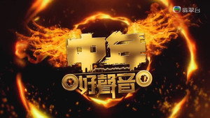 中年好声音 1. évad Ep.8 8. epizód