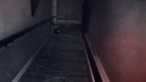 An American Murder Mystery: The Staircase kép