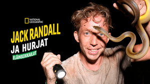 Fearless Adventures with Jack Randall kép