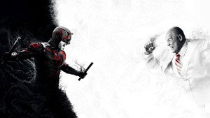 Daredevil: Újjászületés kép
