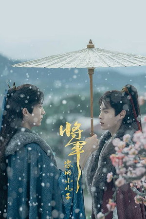 将军家的小儿子 poszter