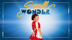 Small Wonder kép