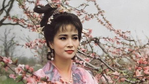 人面桃花 kép