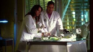 CSI: Miami-helyszínelők 7. évad Ep.5 Bomba