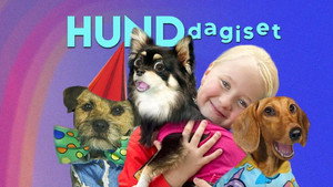 Hunddagiset kép
