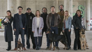 Berlin kopói kép
