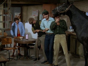 The Monkees 1. évad Ep.8 8. epizód
