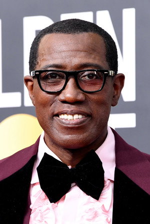 Wesley Snipes profil kép