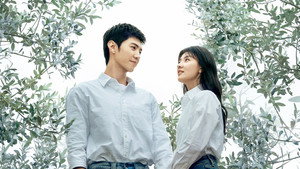 白色橄榄树 kép