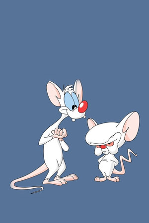 Pinky and the Brain poszter