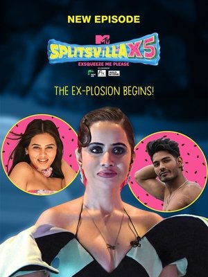 MTV Splitsvilla poszter