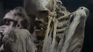Secrets of the Dead 13. évad Ep.3 3. epizód