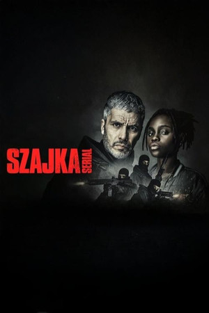 Rablók: A sorozat poszter
