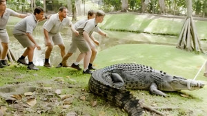 Ausztrál állatkert - Steve Irwin öröksége 2. évad Ep.5 Krokodilszerelem