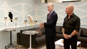 Project Runway 9. évad Ep.11 11. epizód