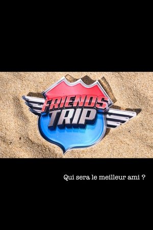 Friends Trip poszter