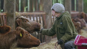 Our Farm Next Door: Amanda, Clive and Kids 1. évad Ep.1 1. epizód
