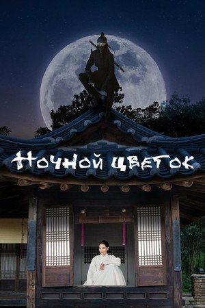 밤에 피는 꽃 poszter