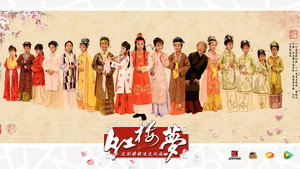小戏骨：红楼梦之刘姥姥进大观园 kép