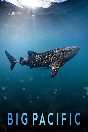 Big Pacific poszter