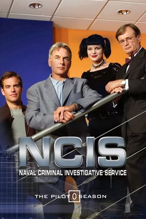 NCIS: Tengerészeti helyszínelők Speciális epizódok (2003-04-22) poszter