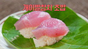 정글밥 1. évad Ep.2 2. epizód