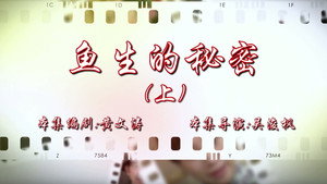 七十二家房客 16. évad Ep.45 45. epizód