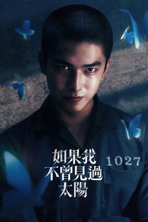 如果我不曾見過太陽 poszter