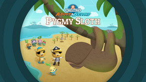 Octonauts: Above & Beyond 2. évad Ep.10 10. epizód