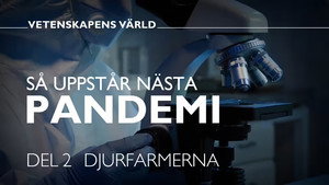 Vetenskapens värld 49. évad Ep.9 9. epizód