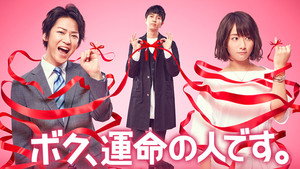 ボク、運命の人です。 kép