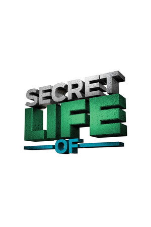 The Secret Life of... 1. évad (2012-07-31) poszter