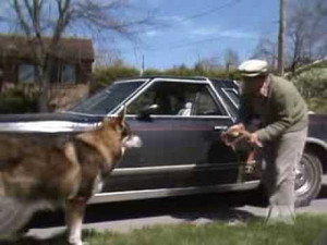 The Littlest Hobo 5. évad Ep.3 3. epizód