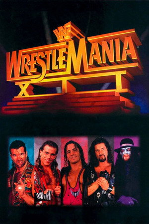 WWE Pay Per View 12. évad (1996-01-21) poszter