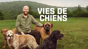 Vies de chiens kép