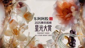 2025腾讯视频星光大赏 kép