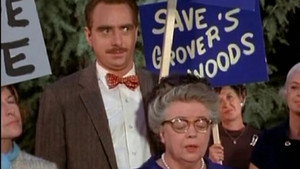 Mayberry R.F.D. 2. évad Ep.19 19. epizód