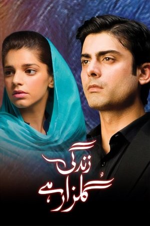 زندگی گلزار ہے poszter
