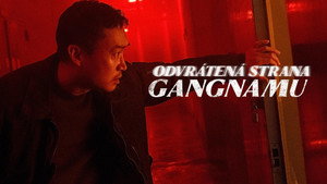 Gangnam sötét oldala kép