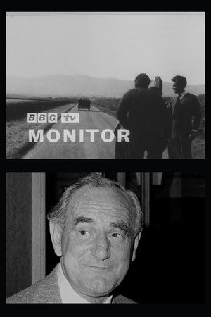 Monitor poszter