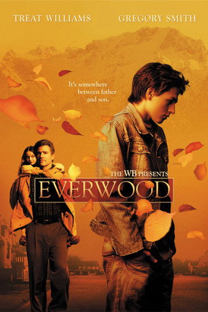 Everwood poszter