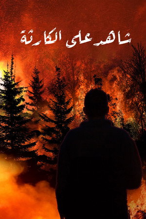 Witness to Disaster poszter