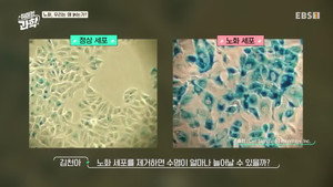 취미는 과학 1. évad Ep.4 4. epizód
