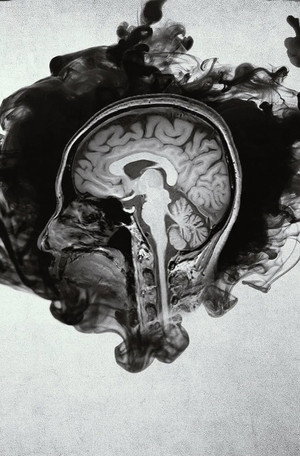 Inside the Criminal Mind poszter