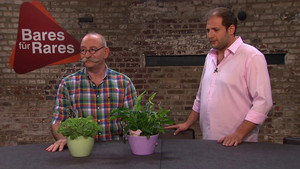Bares für Rares 8. évad Ep.74 74. epizód