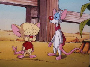 Pinky and the Brain 3. évad Ep.37 37. epizód
