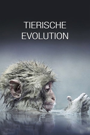 Az állatvilág története David Attenborough-val poszter
