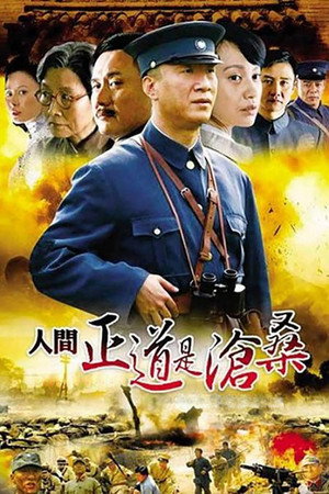 人间正道是沧桑 poszter