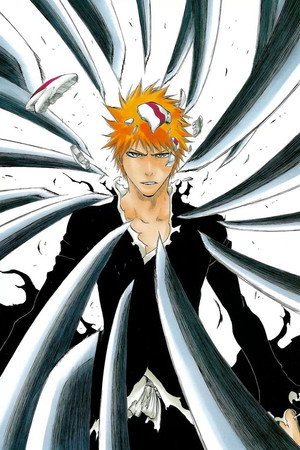 Bleach poszter