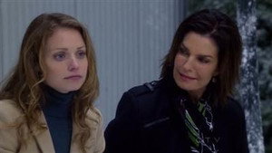 CSI: New York-i helyszínelők 7. évad Ep.10 Vásárlási láz